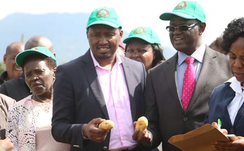 Mwangi Kiunjuri, Ministry of Agriculture and irrigation (left), attending the Kephis Potato Farmers Field day at Marimba Farm in Meru County in August last year. Joining him is Meru Governor Hon. Kiraitu Murungi (right)
(Courtesy: twitter / @CS_kiunjuri